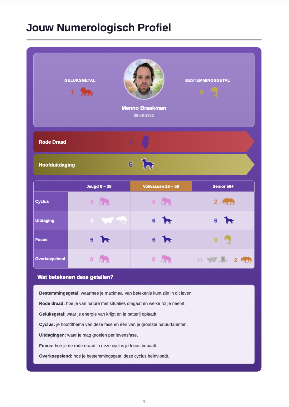 Numerologisch profiel pagina