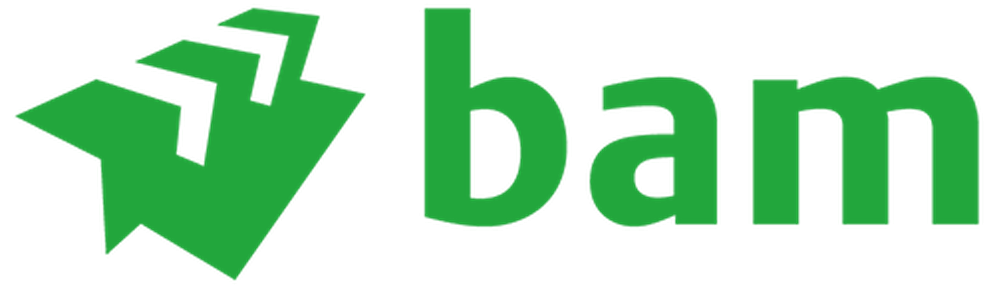 BAM