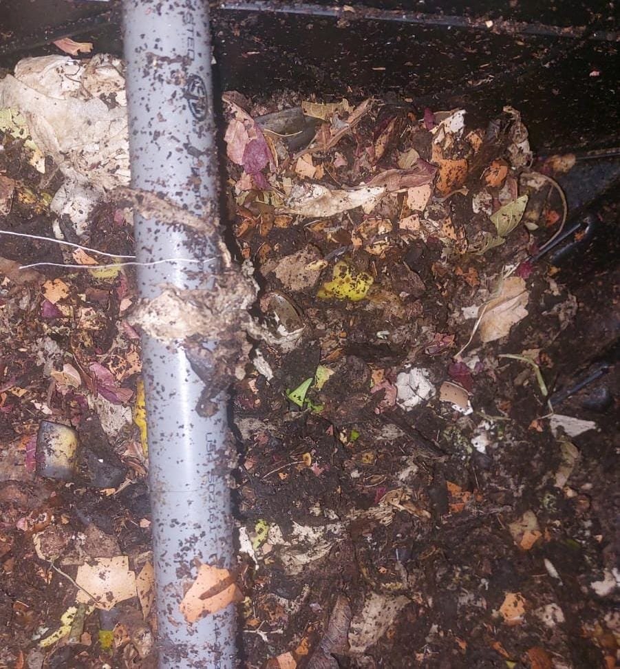 Compostera con humedad adecuada