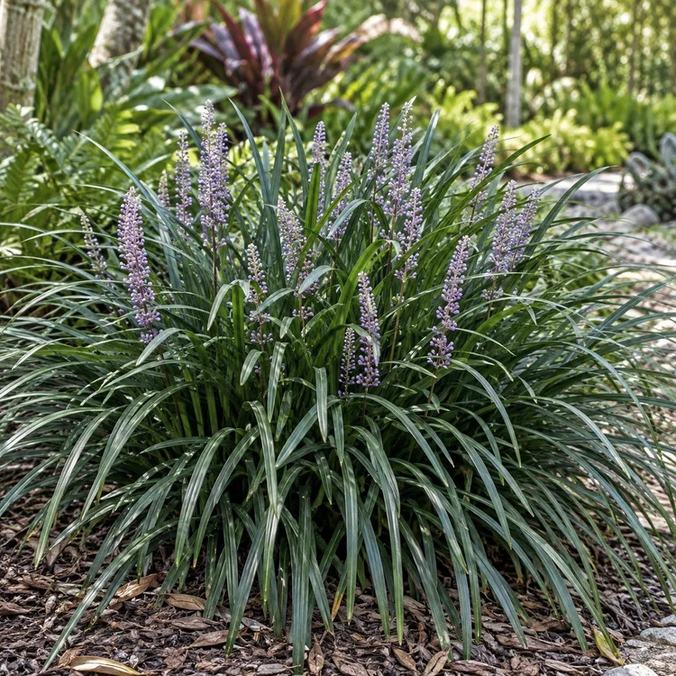AI botanical illustration of Liriope — Green