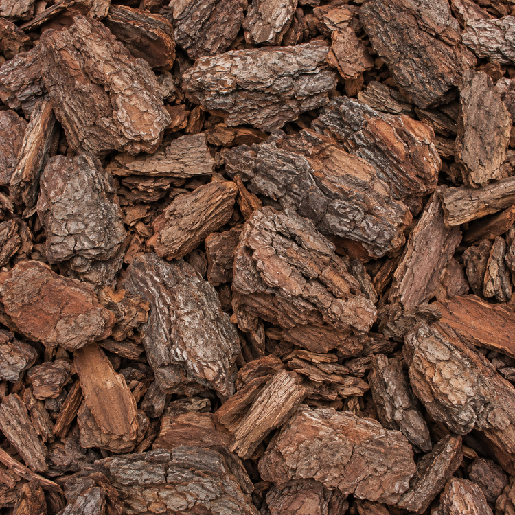 AI illustration: Large pine bark nuggets