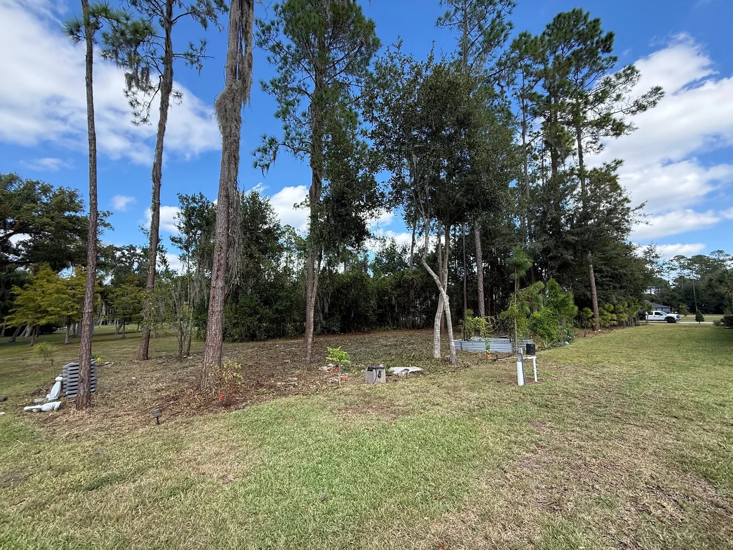 Wooded lot after an RLC Lawn & Landscape property cleanup cleared the overgrown brush