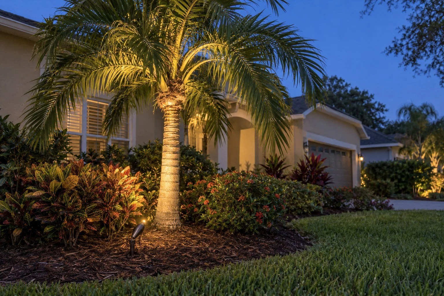 AI-generated Tampa Bay landscape lighting concept: An adjustable spotlight brings out the shape and texture of a palm.