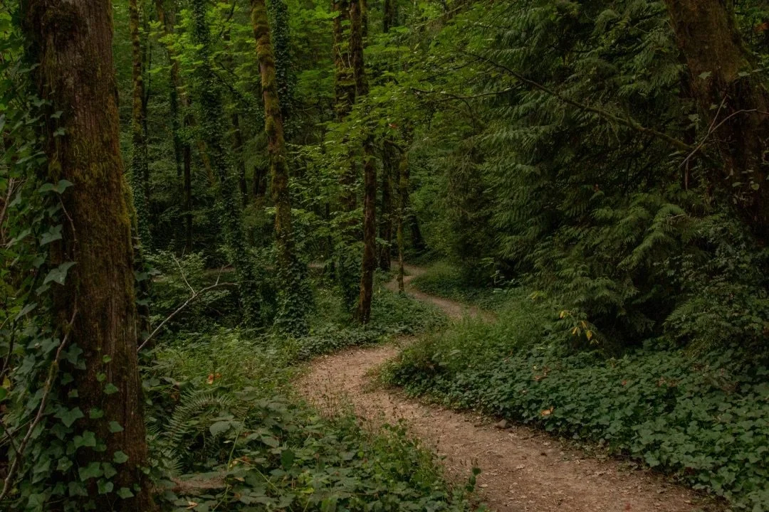 Portland