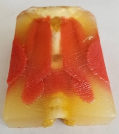 Abdominal wall model cross-section