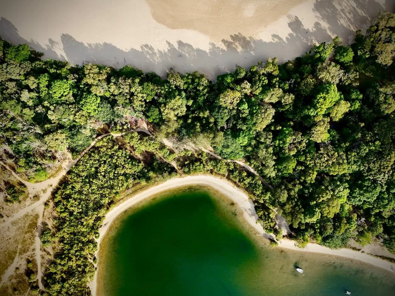 Aerial view of bushland walking tracks around a green lagoon