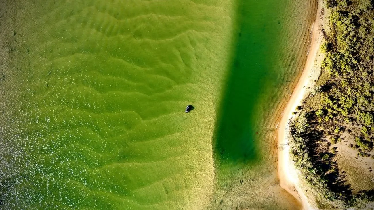 Drone photo of a boat on green sandbar shallows beside the shoreline