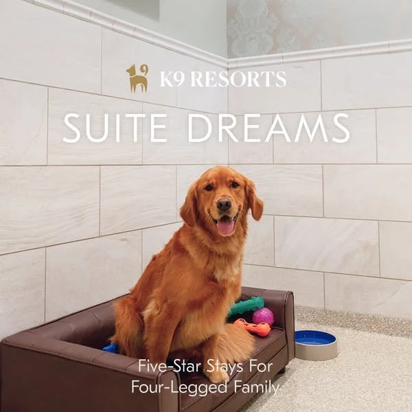 K9 Resorts Suite Dreams paid ad creative