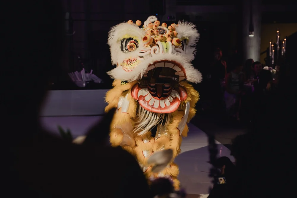 Close view of a golden lion head with its mouth wide open mid-performance