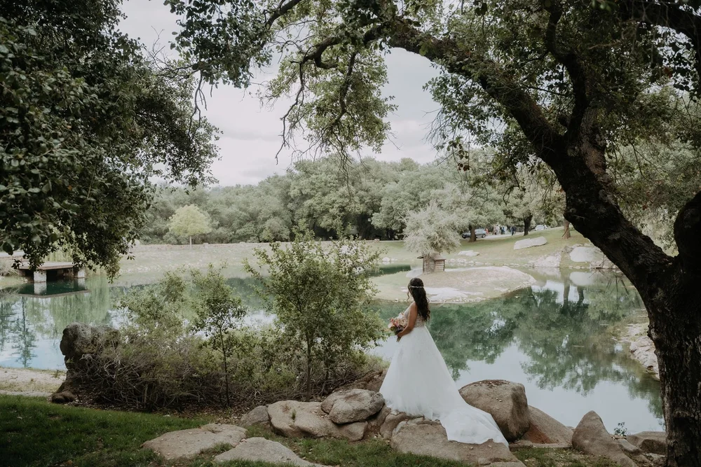 Bride and groom walking beside the lake at Milagro Winery