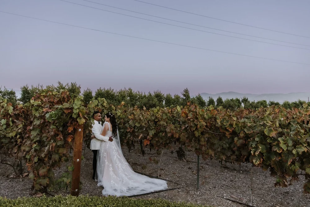 Couple standing among the planted rows at dusk on the Tuscan Rose Ranch grounds