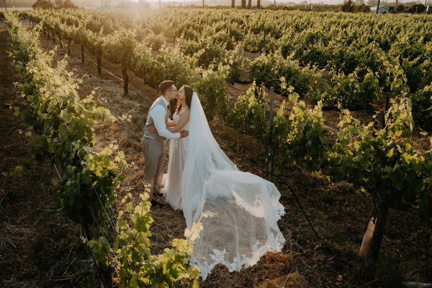 South Coast Winery wedding