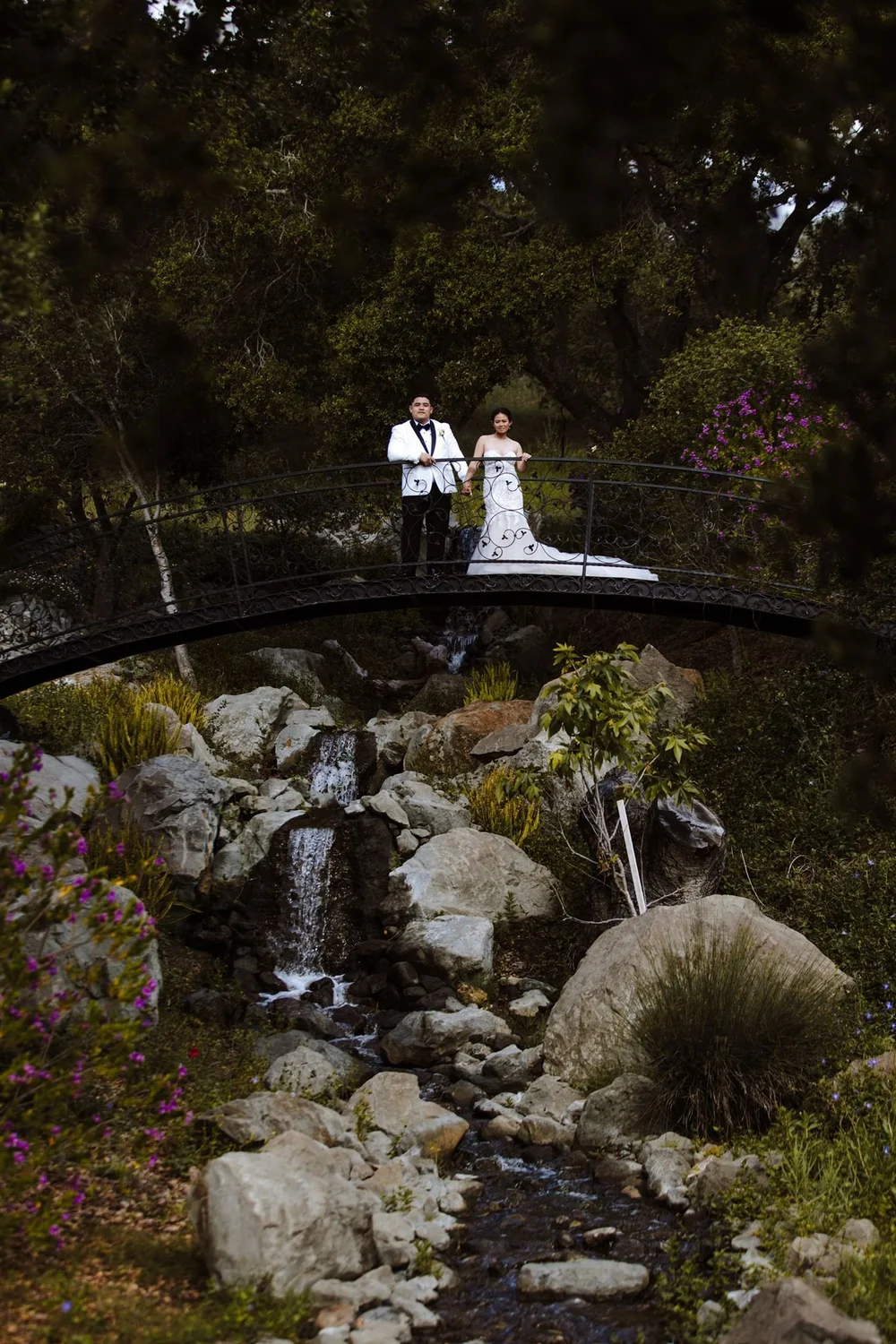 Fairytale-style wedding portrait at Chateau Noland in San Luis Obispo