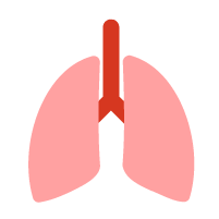 Lung Cancer