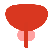 Prostate Cancer