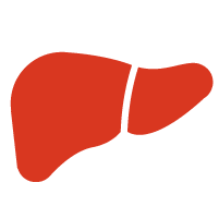 Liver Cancer