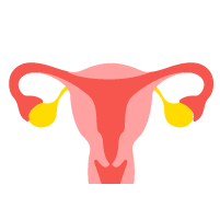 Endometrial Cancer