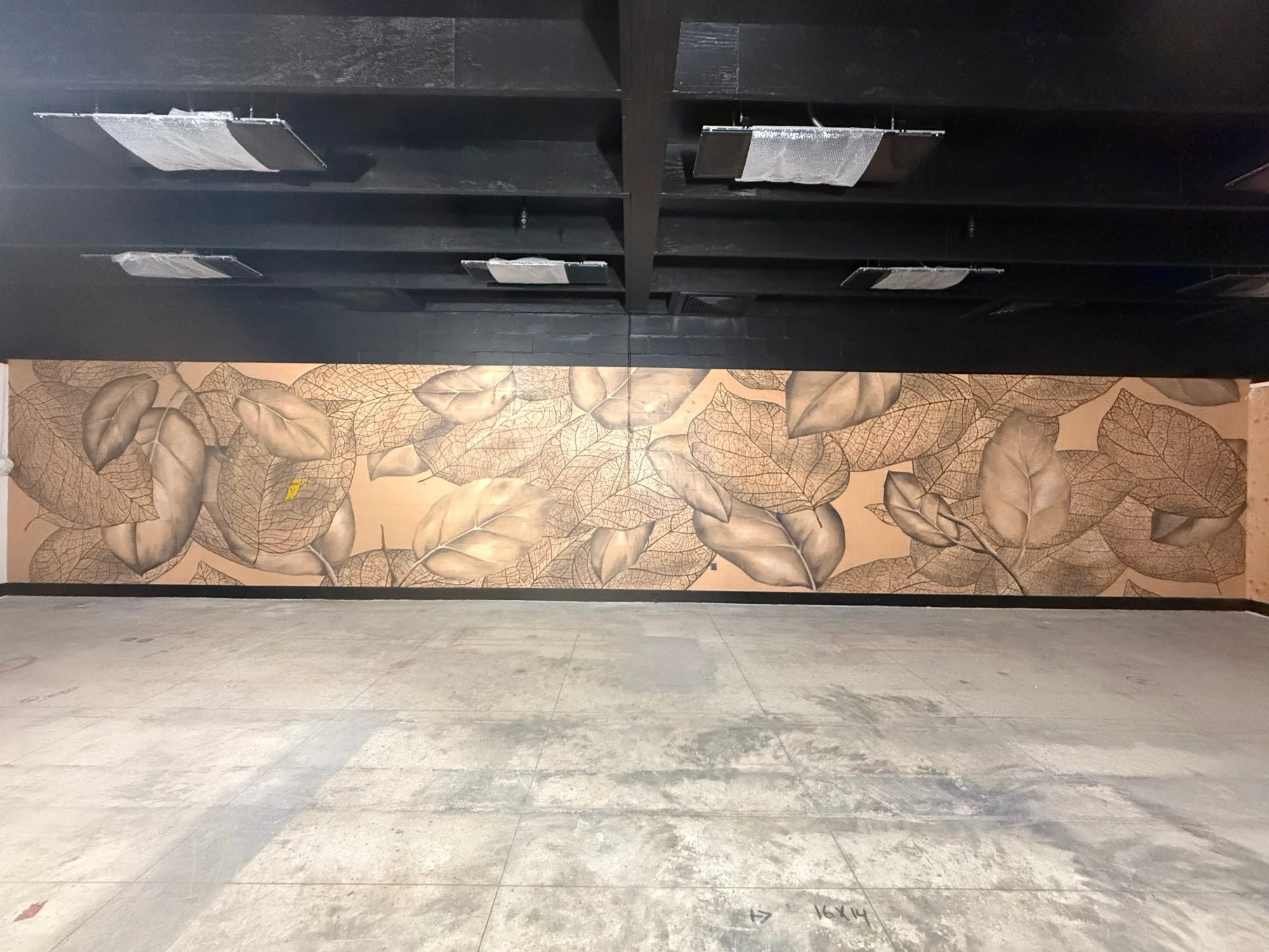 santa cruz athletic club mural