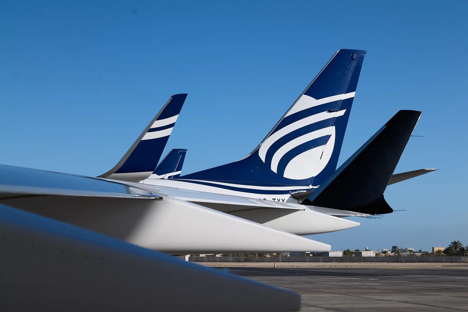 Line of aircraft tails on the apron