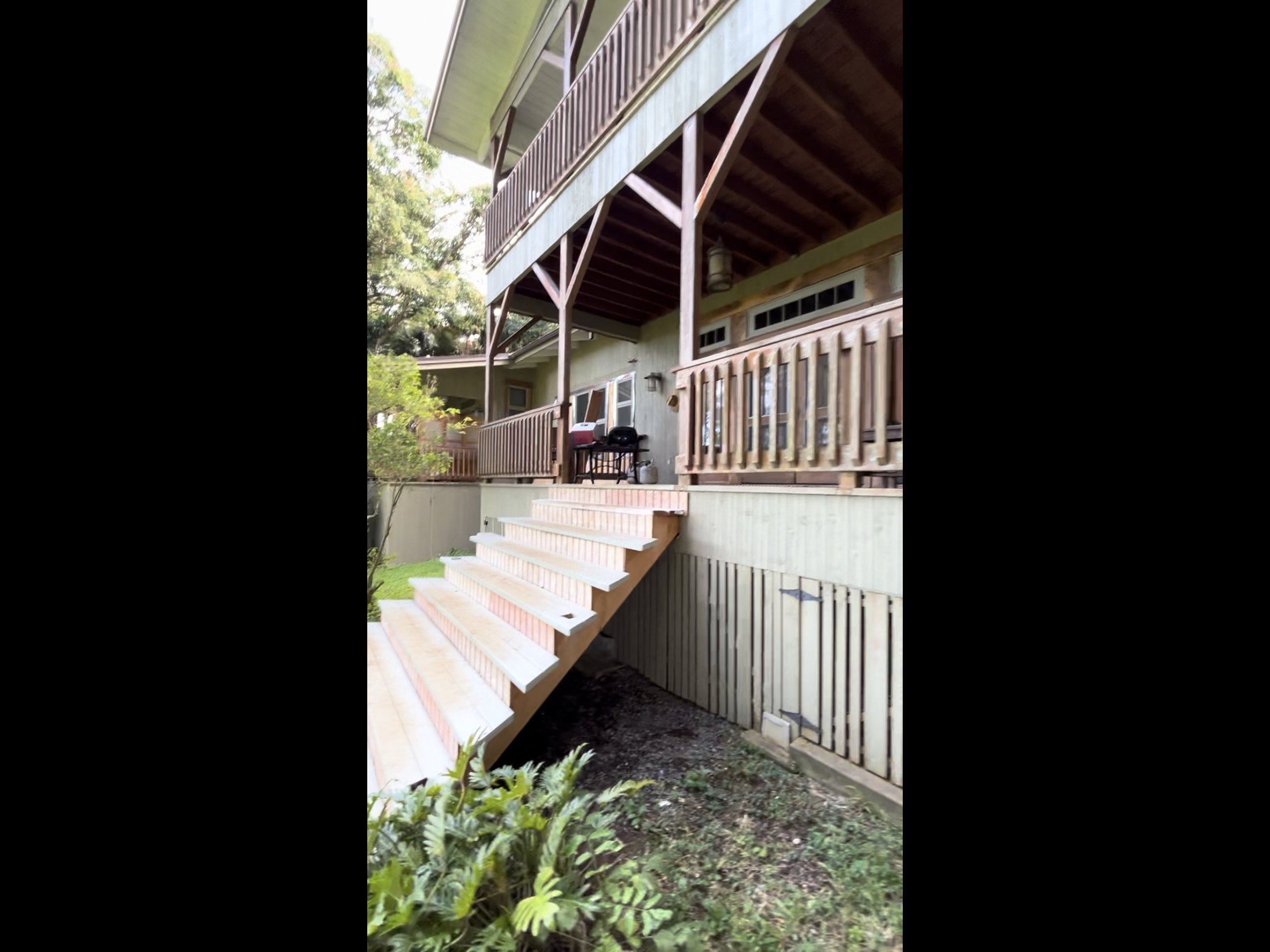 Banyan stairs before