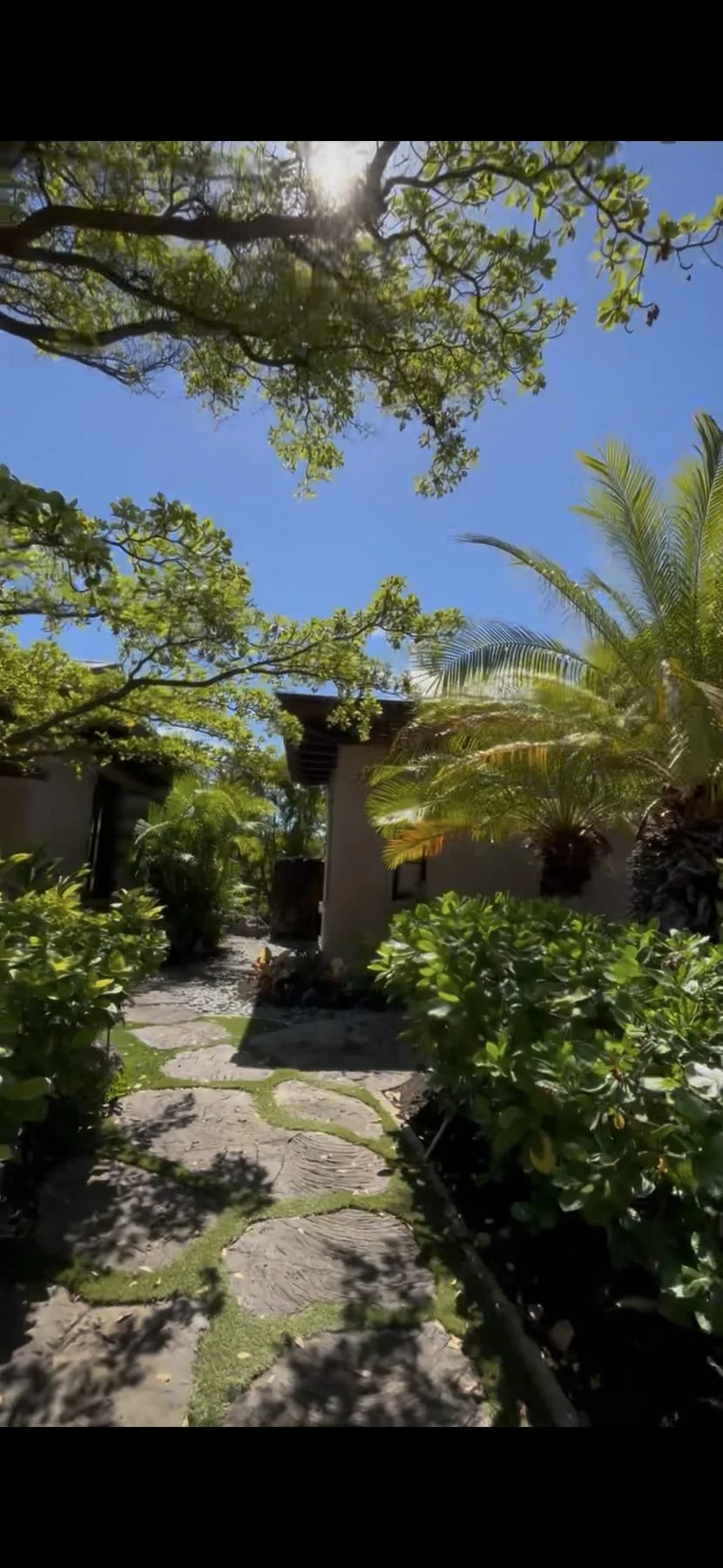 Pauoa Estate · entry walkway · lava stone path · mature canopy