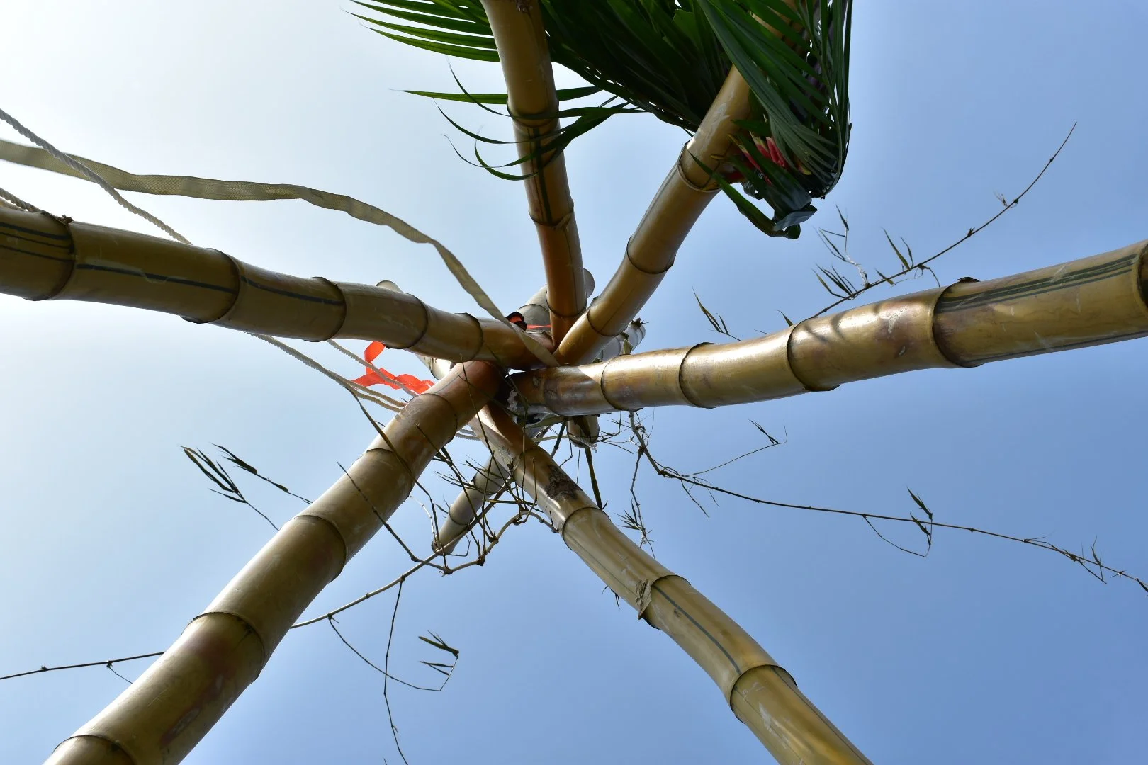 Bobby Grimes · black bamboo torii gate