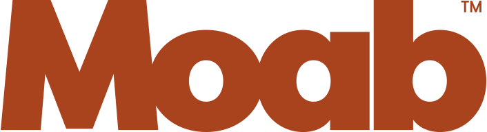 Logo 3