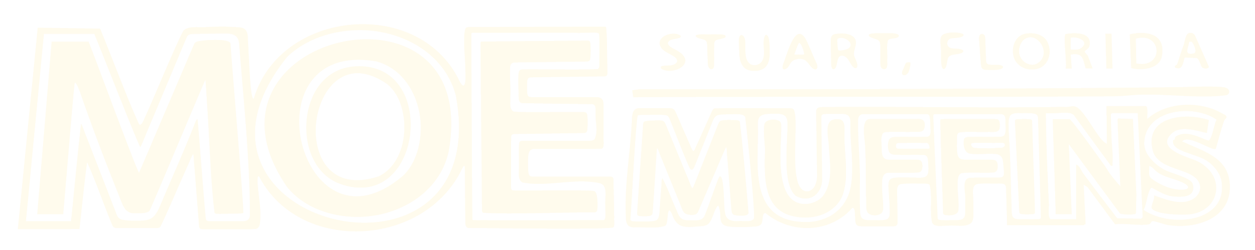 MoeMuffins