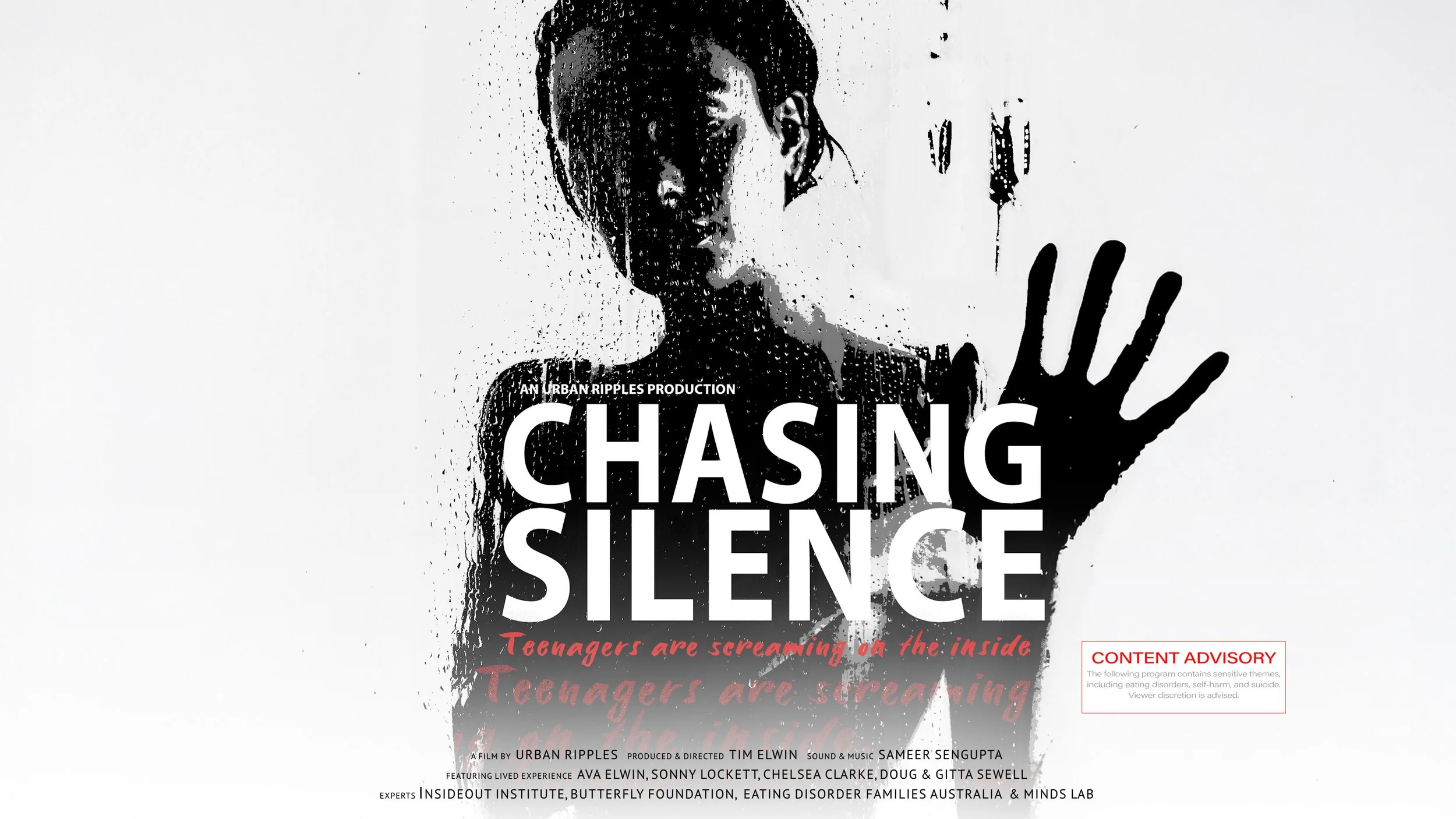 Chasing Silence