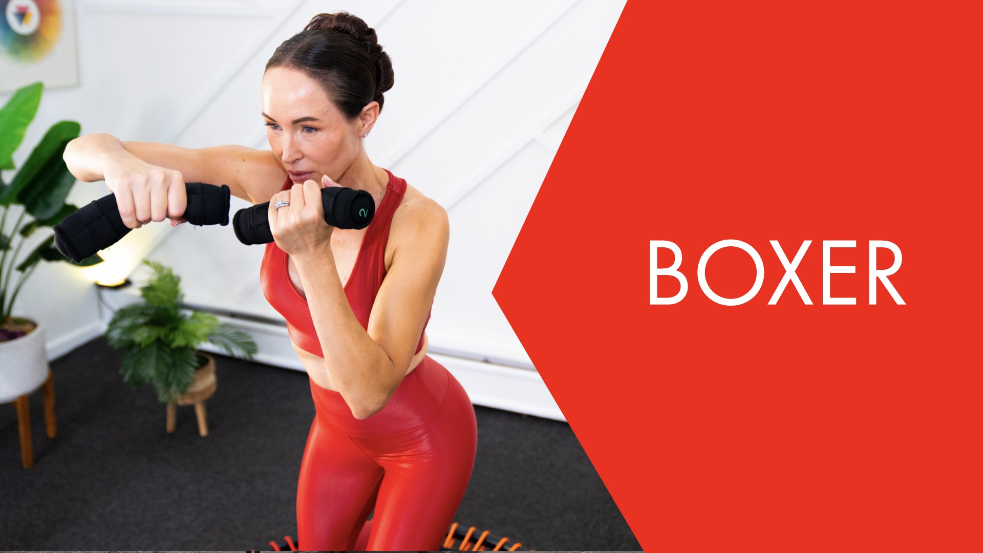 Boxout Workout