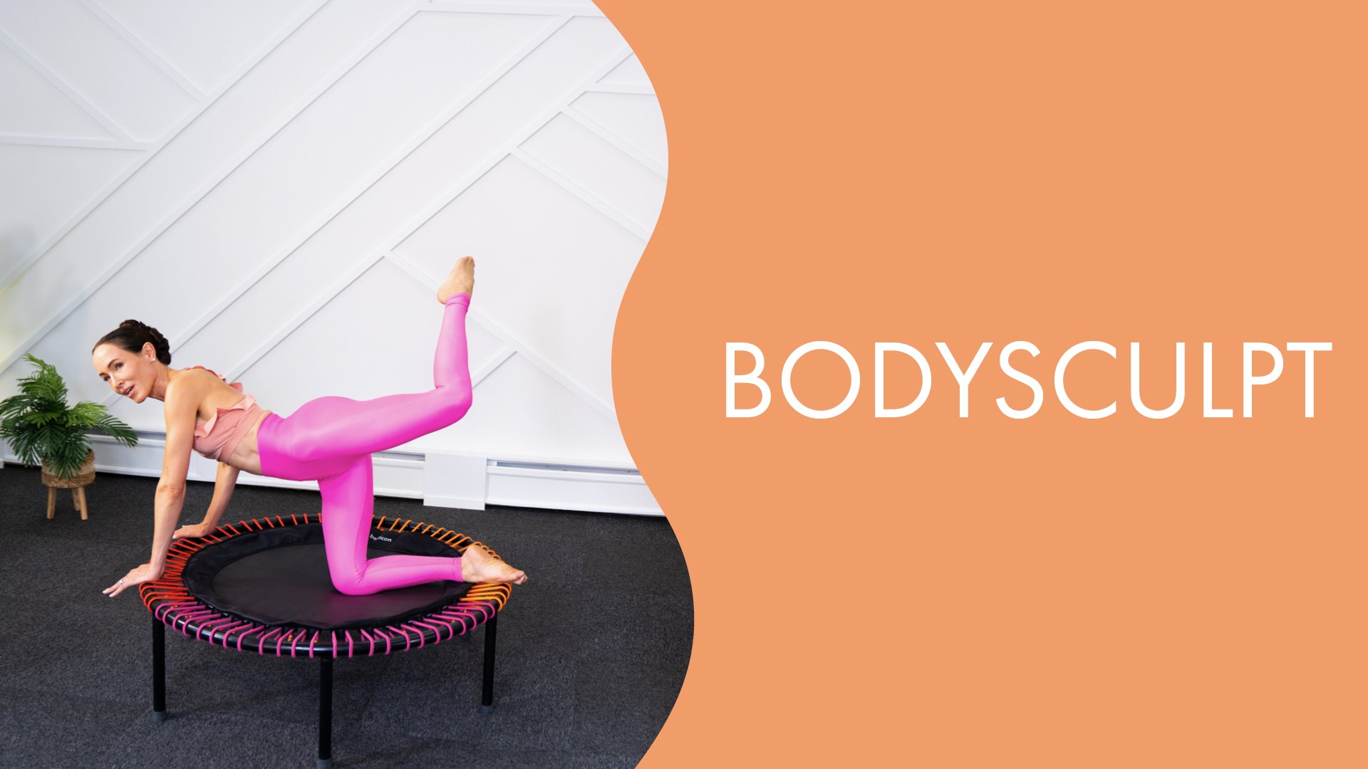 Bodysculpt Workout