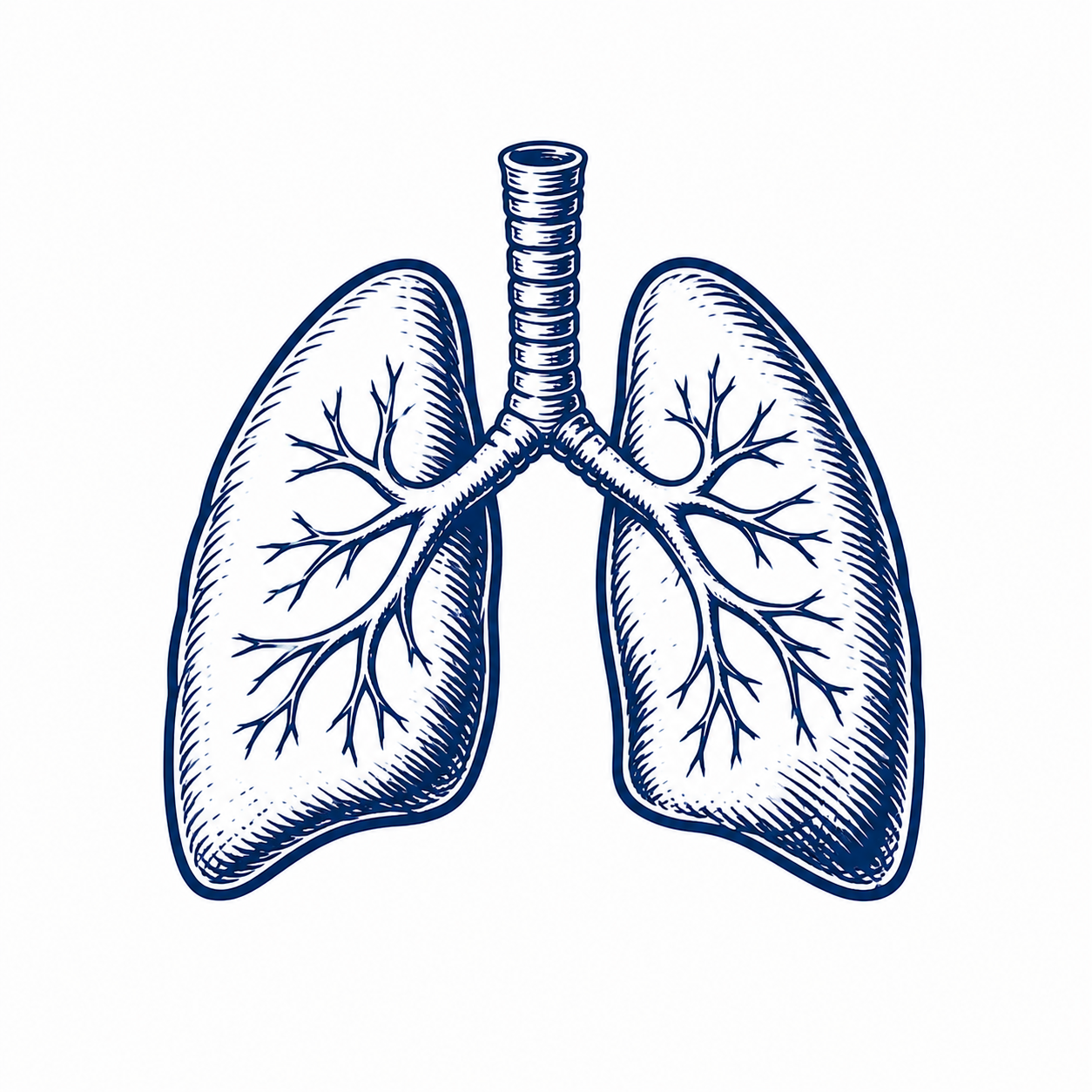 Breathwork