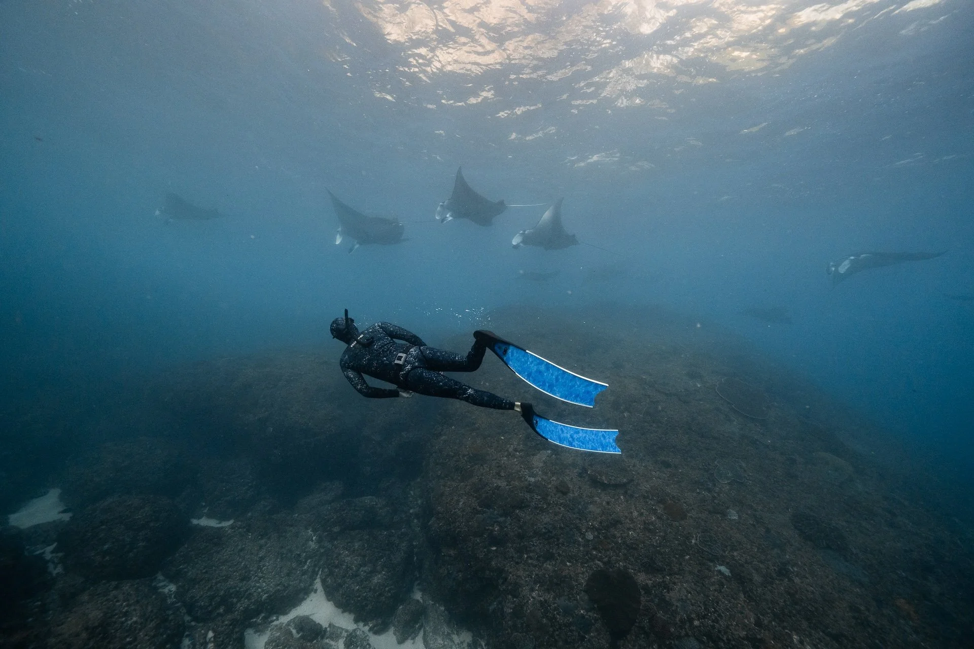 Recreational Trips