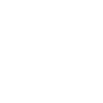 The Big Idea Logo