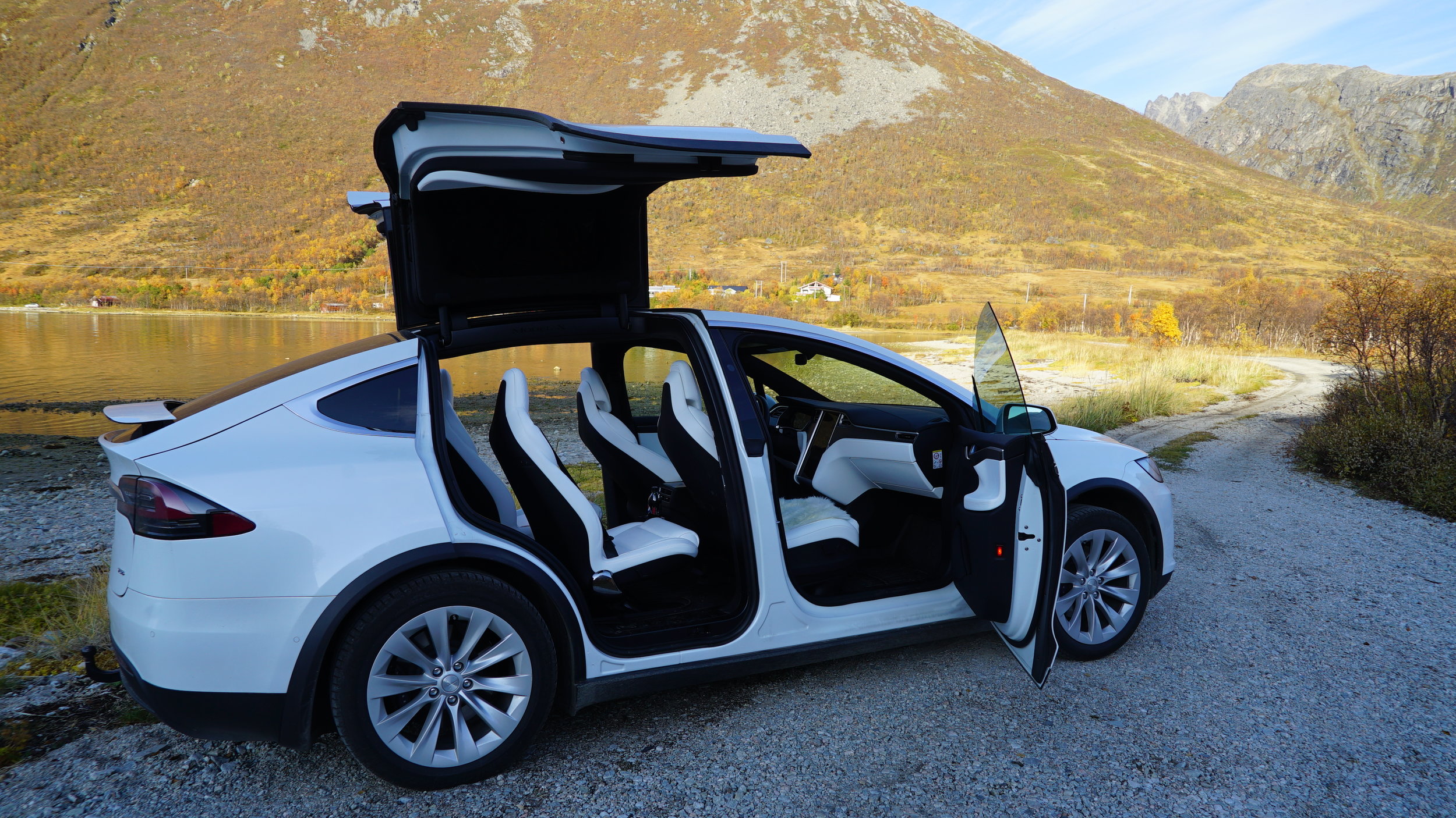 Our Brand New Luxury Car - Tesla Model X.