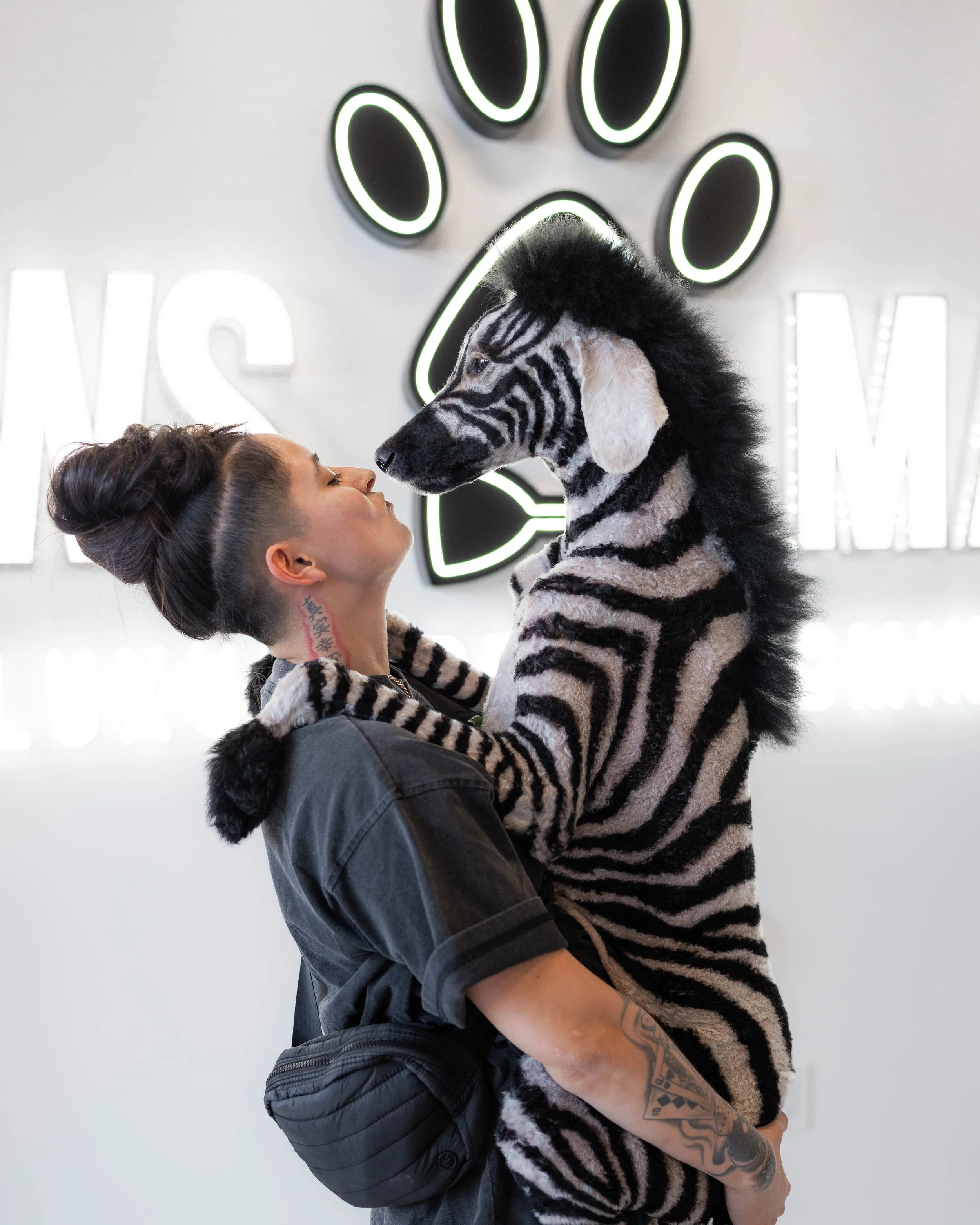 Grooming at Paws At Main Fontana
