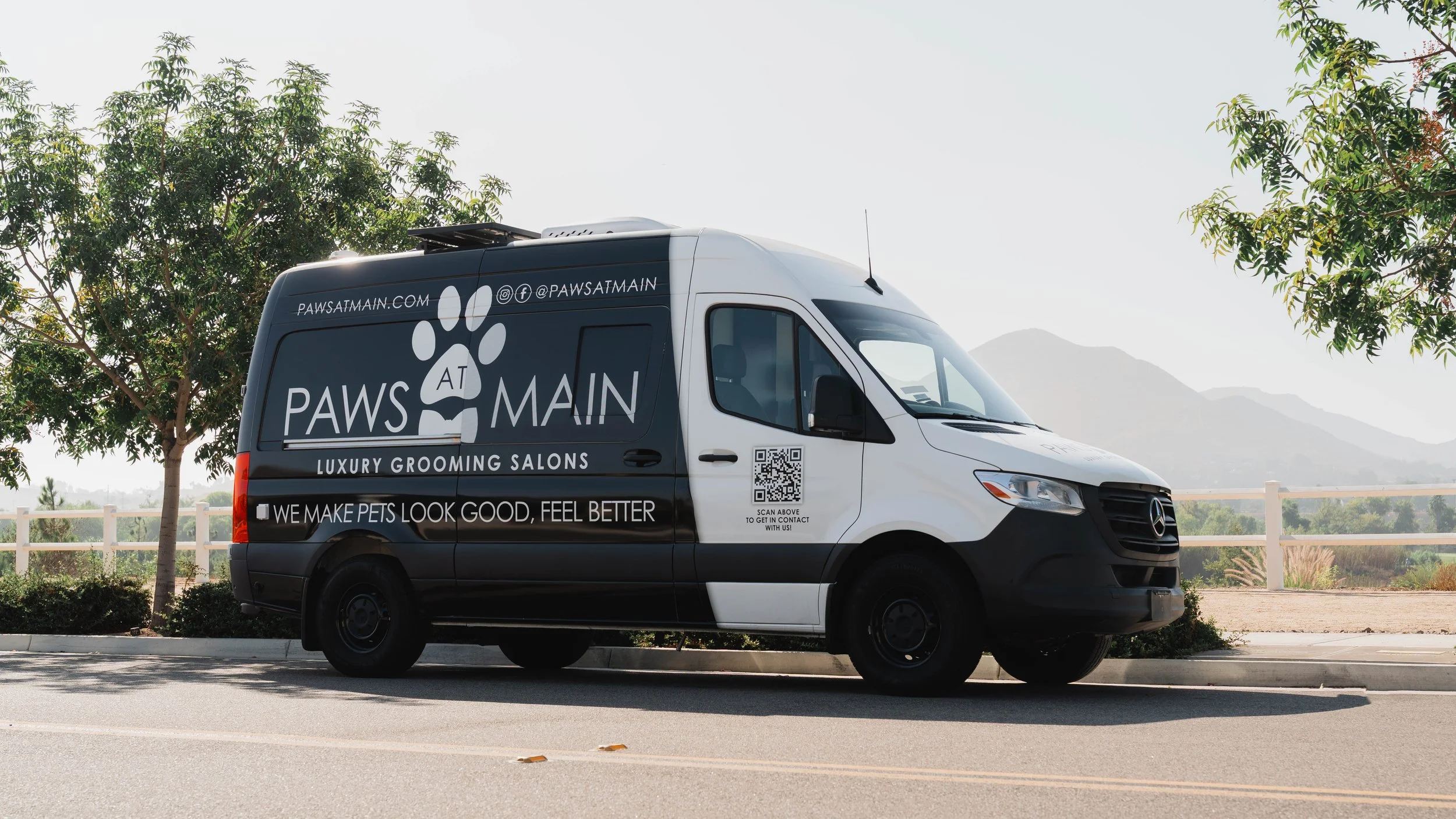Paws At Main mobile grooming van