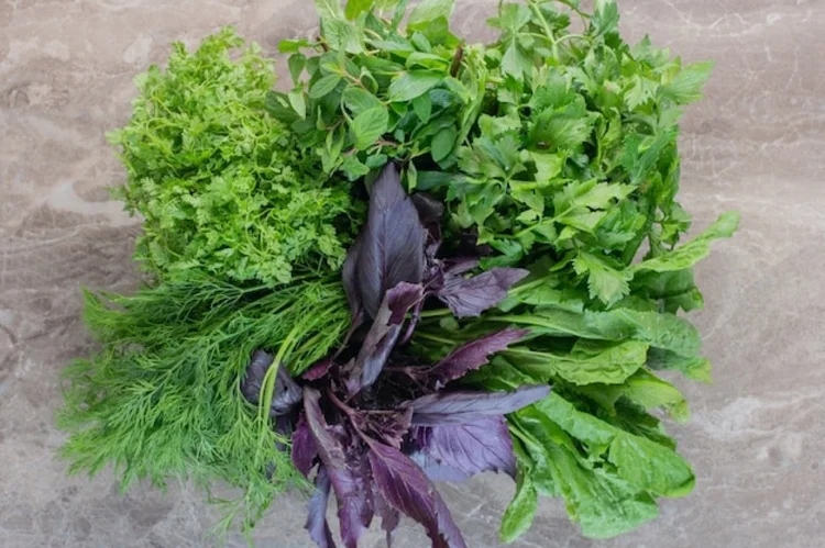 Rice Paddy Herb