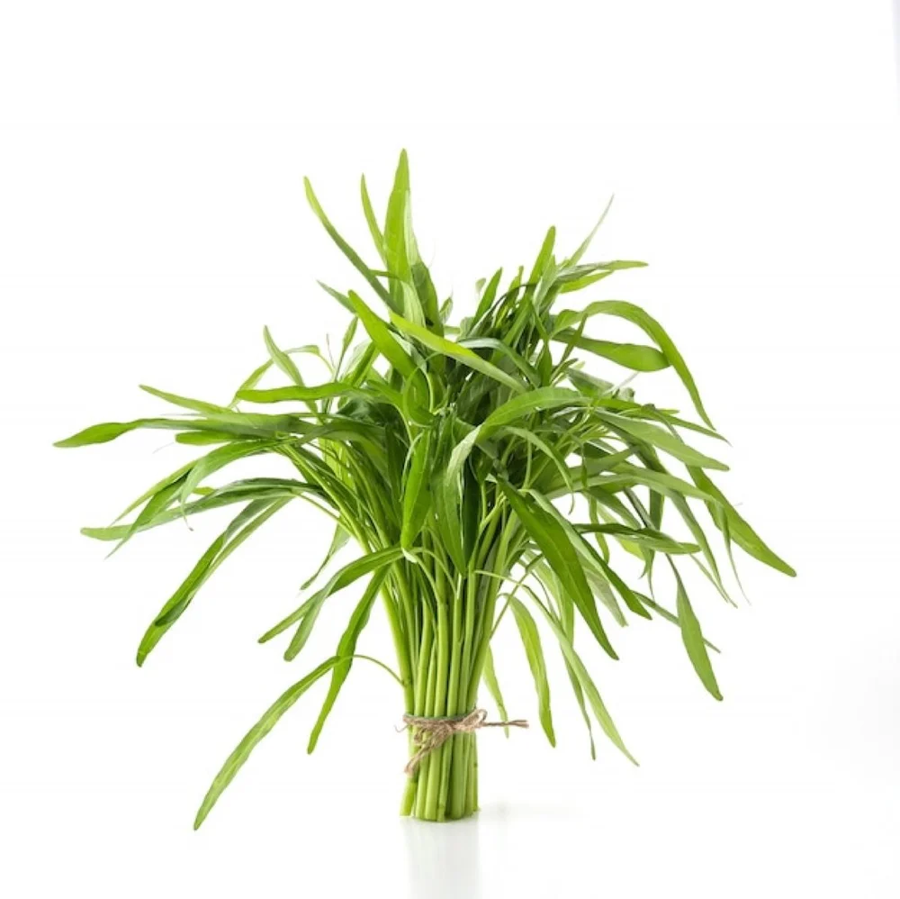 Water Spinach