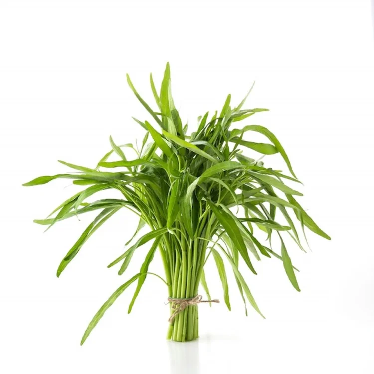 Water Spinach