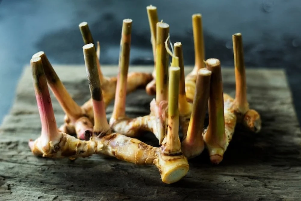 Galangal