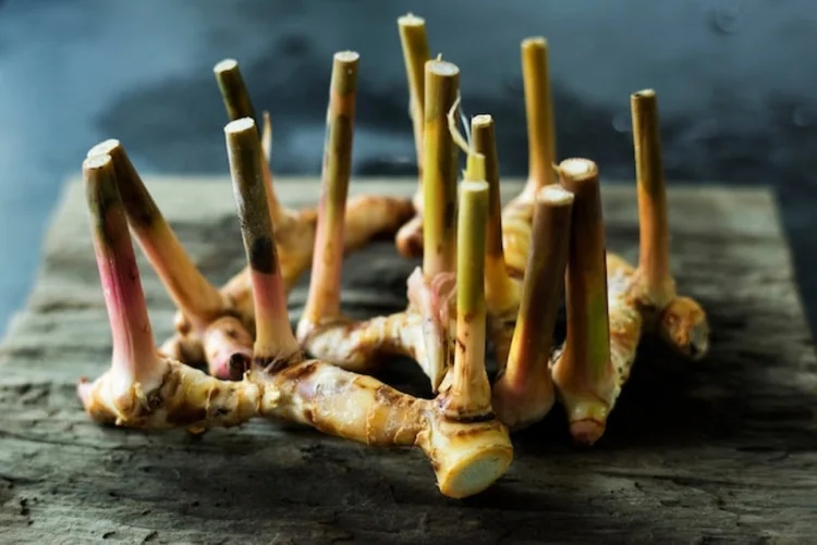 Galangal