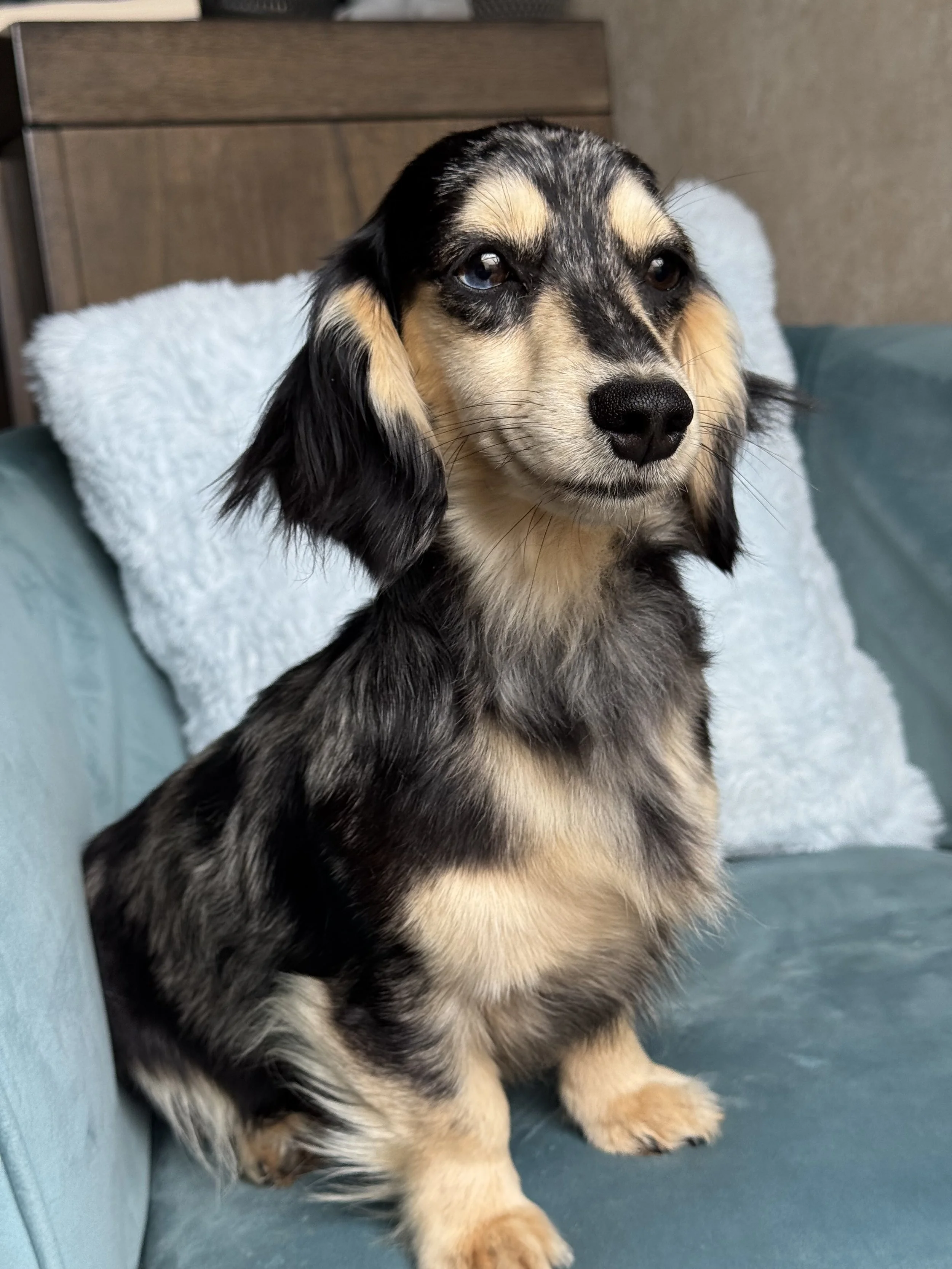 Zelda