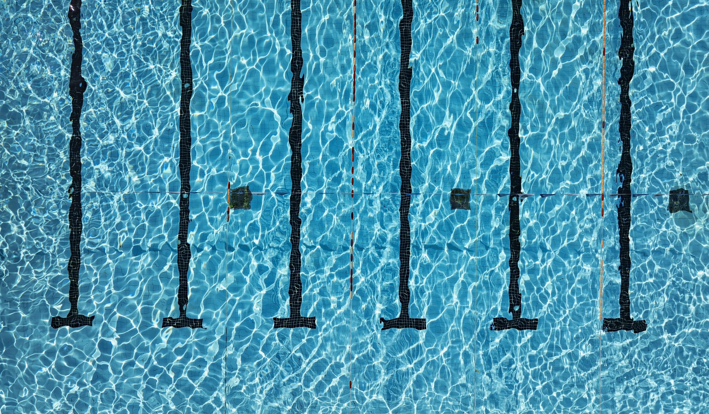 Competitive swimmer in pool