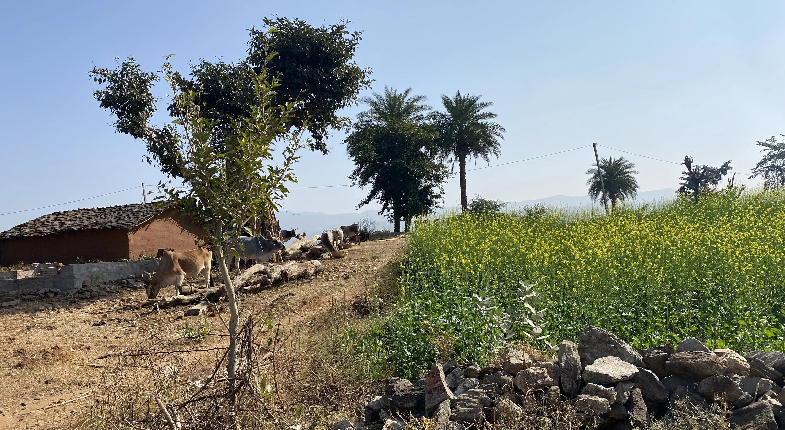 Immersive Village Visits