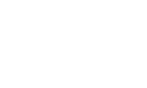 FlyLow Logo