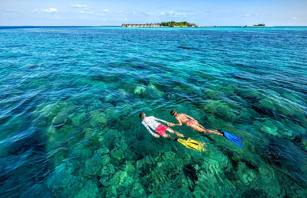 Ayada Maldives снорклинг