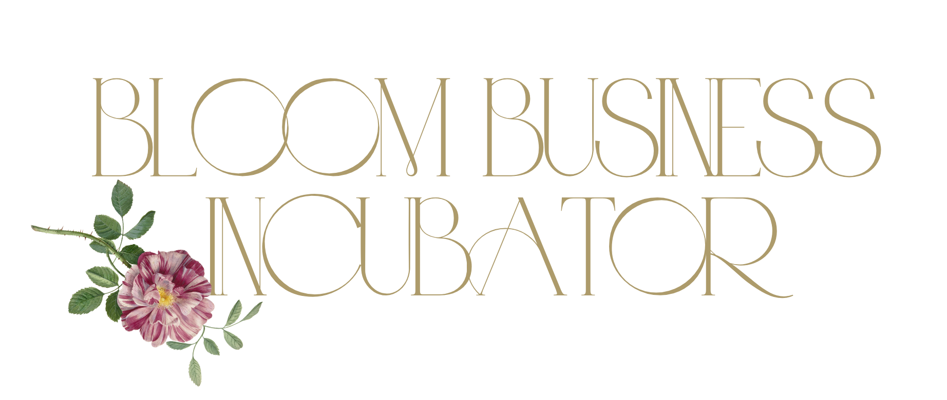 Bloom Business Incubator
