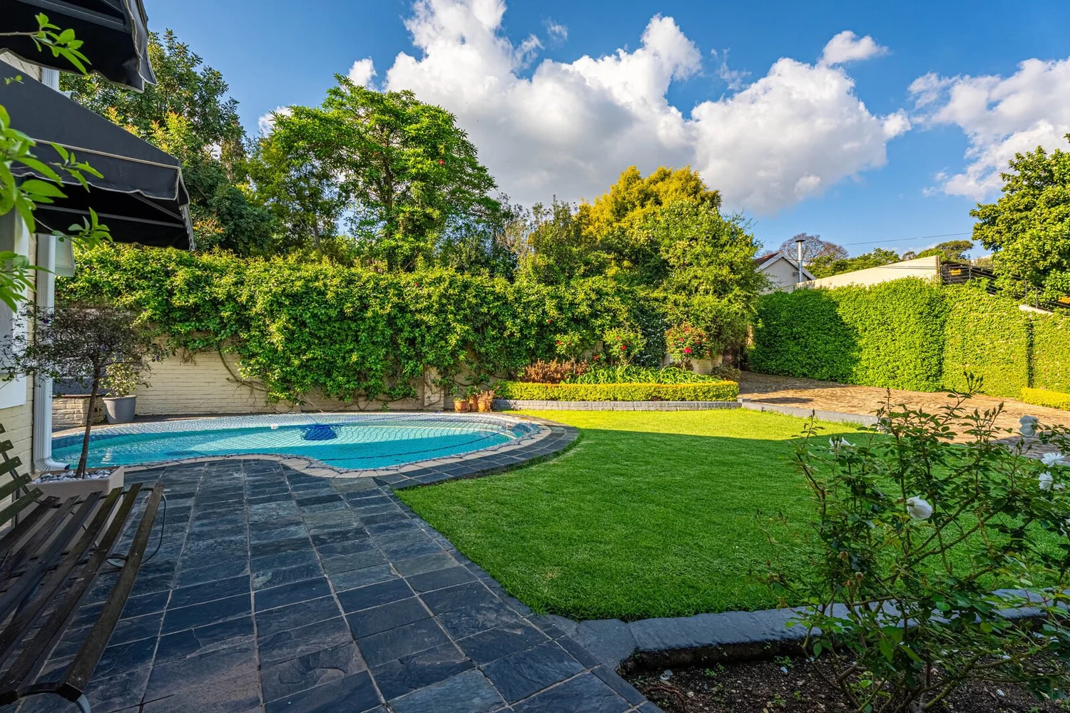 The swimming pool set into a paved terrace, with lawn, clipped hedges and rose beds beyond