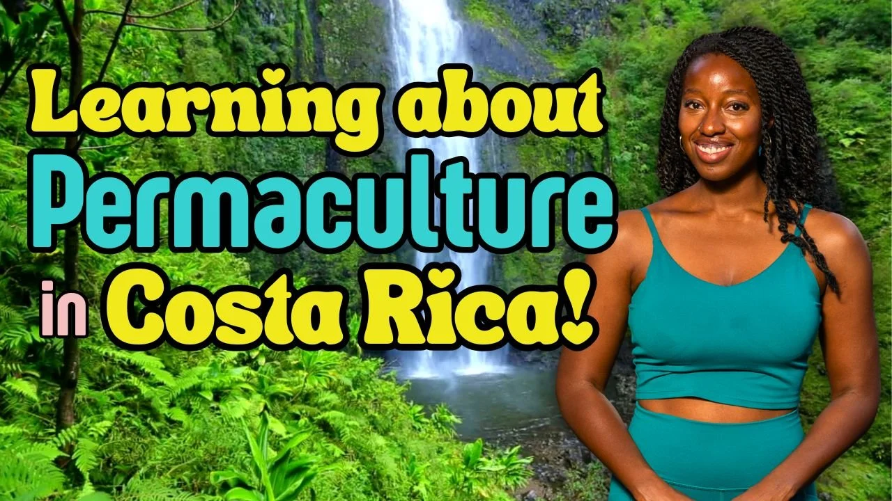 VerdEnergia Vlog Preview